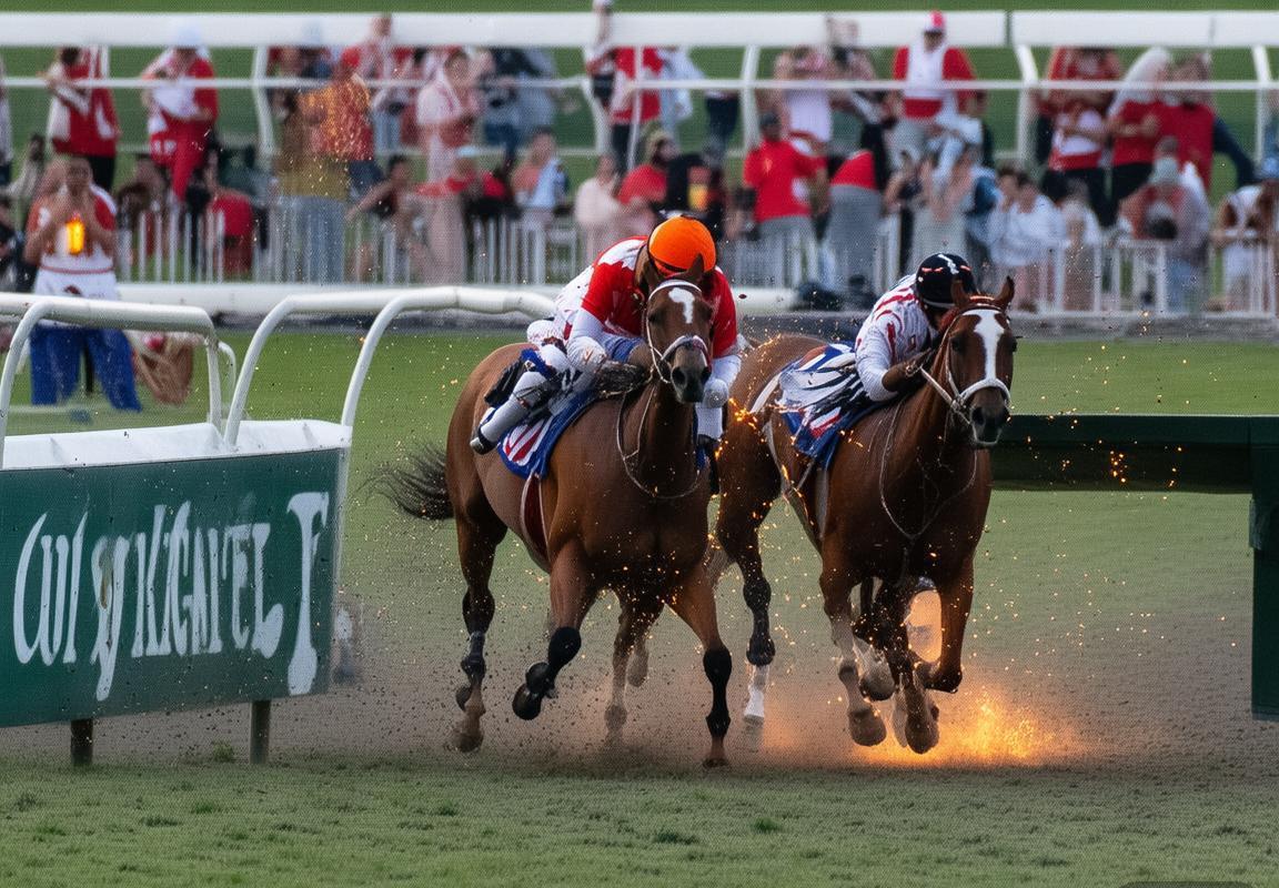 2018纽约德比：红牛VS城队激情对决与文化交融(图3)